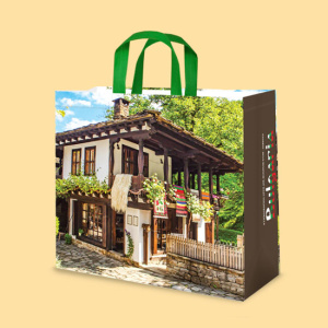 Click for enlarging Bag "House", DOS 0