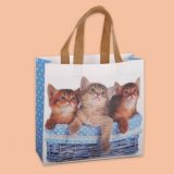 Bag "Kittens" 0