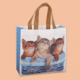 Bag "Kittens" 0