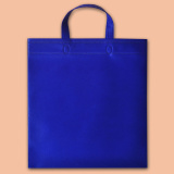 Bag from nonwoven PP, blue (Blue) 0