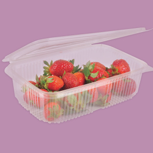 Click for enlarging Bowl with lid attached PET 2