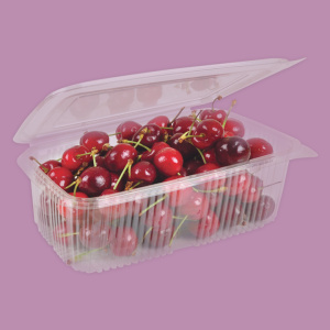 Click for enlarging Bowl with lid attached PET 3
