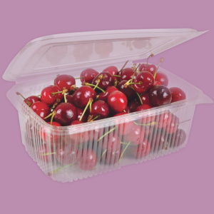 Click for enlarging Bowl with lid attached PET 4